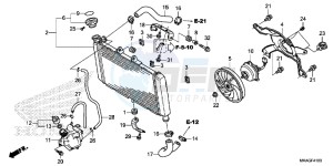 NC750SAG NC750S Europe Direct - (ED) drawing RADIATOR