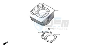 TRX200D FOURTRAX 200 drawing CYLINDER