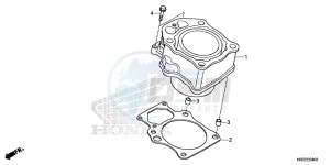 TRX420TM1F TRX420 Europe Direct - (ED) drawing CYLINDER