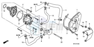 CB600F9 Europe Direct - (ED) drawing WATER PUMP