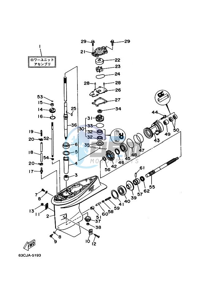 LOWER-CASING-x-DRIVE