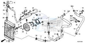 SH300AG TRX250T Europe Direct - (ED) drawing RADIATOR