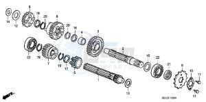 CRF50FB CRF50F ED drawing TRANSMISSION