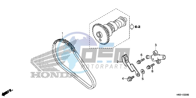 CAM CHAIN/TENSIONER