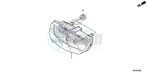 TRX500FM5H Europe Direct - (ED) drawing TAILLIGHT