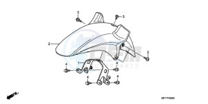 XL700V9 ED drawing FRONT FENDER