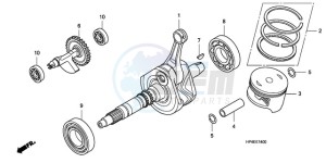 TRX420FMA Australia - (U / 2U 4WD) drawing CRANK SHAFT/PISTON