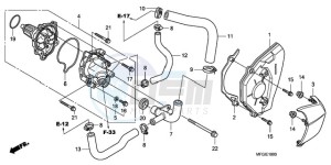 CB600F3A France - (F / CMF ST 25K) drawing WATER PUMP