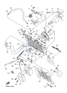 XJ6N 600 XJ6-N (NAKED) (20SV) drawing RADIATOR & HOSE