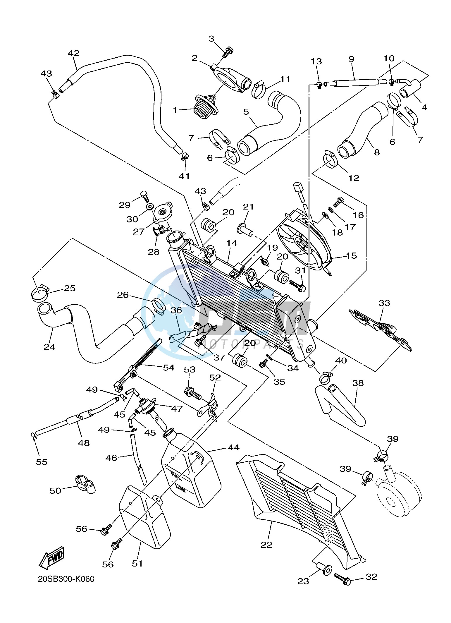 RADIATOR & HOSE