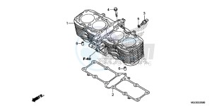 CB1100SAE CB1100 UK - (E) drawing CYLINDER