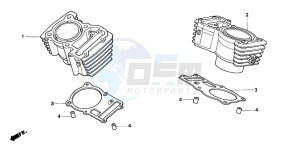 XL600V TRANSALP drawing CYLINDER