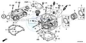 TRX420FA5G TRX420F Europe Direct - (ED) drawing CYLINDER HEAD