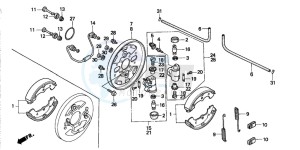 TRX300FW FOURTRAX 300 4X4 drawing FRONT BRAKE PANEL (2)