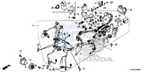 GL1800CF F6C ED drawing WIRE HARNESS