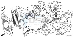 VT750C2BC drawing RADIATOR (VT750C2B/C2S/CS/C/CA)