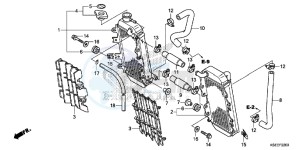 CRF150RE CRF150R Europe Direct - (ED) drawing RADIATOR