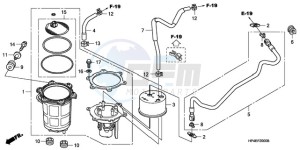 TRX420FE9 Australia - (U / 4WD) drawing FUEL PUMP