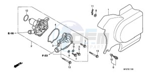 VT750C2F9 Australia - (U / KMH MME) drawing WATER PUMP/LEFT REAR COVER R