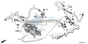 GL1800BG GOLDWING - F6B UK - (E) drawing THROTTLE BODY ( TUBI NG)