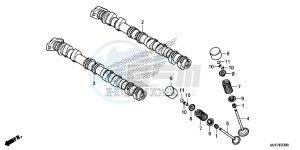 CBR650F 2ED - (2ED) drawing CAMSHAFT/VALVE