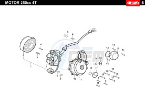 TANGO-250-GREY drawing MAGNETIC FLYWHEEL - FRONT SIDE FRONT COVER