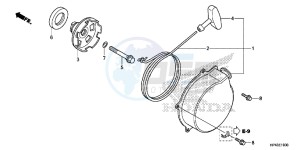 TRX420FPED TRX420 Europe Direct - (ED) drawing RECOIL STARTER