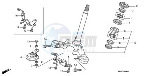 CBR125RW9 Germany - (G) drawing STEERING STEM