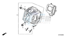 CRF70FB CRF70F ED drawing CYLINDER HEAD