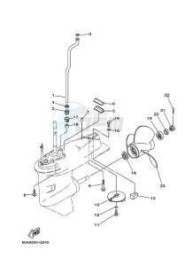 F50D drawing LOWER-CASING-x-DRIVE-2