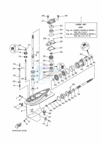 F50DET drawing PROPELLER-HOUSING-AND-TRANSMISSION-1