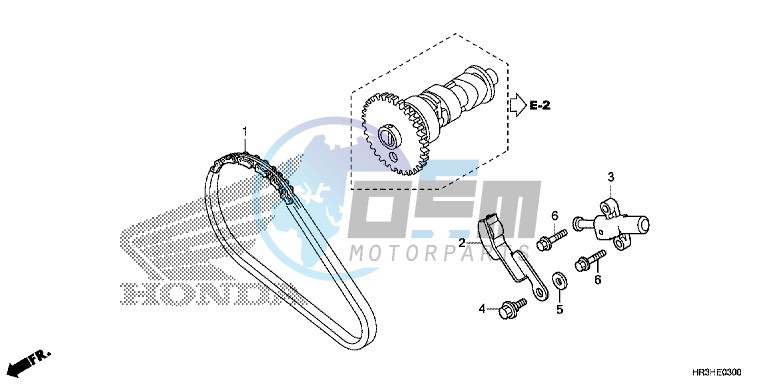 CAM CHAIN/TENSIONER