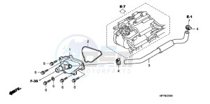 TRX420FAC drawing WATER PUMP COVER