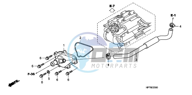 WATER PUMP COVER