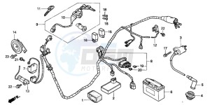 SFX50 drawing WIRE HARNESS/ IGNITION COIL/BATTERY