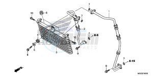 CB1100SAE CB1100 UK - (E) drawing OIL COOLER