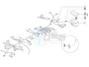 Stalker 50 drawing Main cable harness