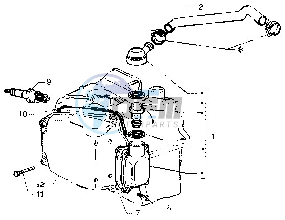 Oil drain valve