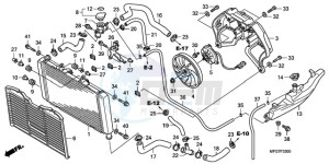 CB600FA39 France - (F / ABS CMF ST) drawing RADIATOR