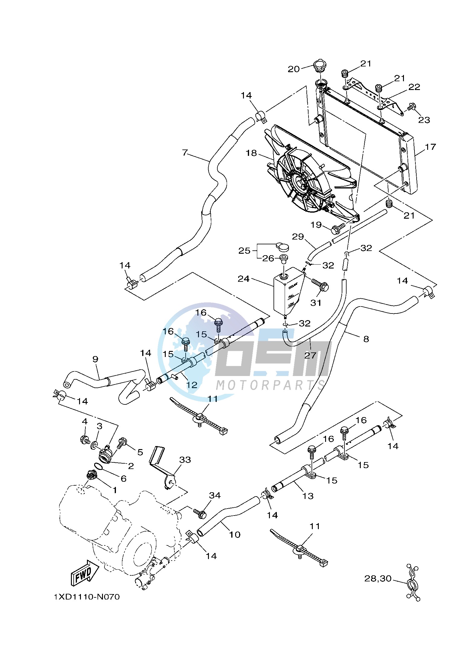 RADIATOR & HOSE