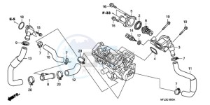 CBR1000RA9 France - (F / ABS CMF) drawing THERMOSTAT