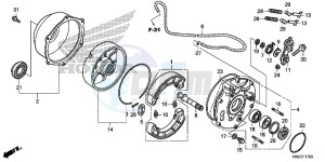 TRX500FPAE TRX500FPA Europe Direct - (ED) drawing REAR BRAKE PANEL