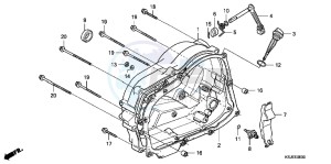 CRF100FB drawing RIGHT CRANKCASE COVER