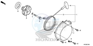 TRX420FM1E TRX420 Europe Direct - (ED) drawing RECOIL STARTER