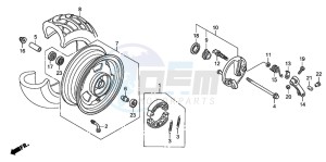 NPS50 drawing FRONT WHEEL