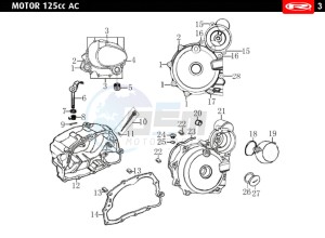 MARATHON-125-E4-AC-SM-WHITE drawing CLUTCH COVER