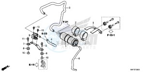 CBR1000S2H 2ED - (2ED) drawing CANISTER