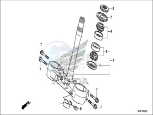 CRF250RH Europe Direct - (ED) drawing STEERING STEM