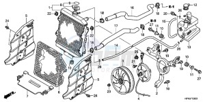 TRX420FEC drawing RADIATOR