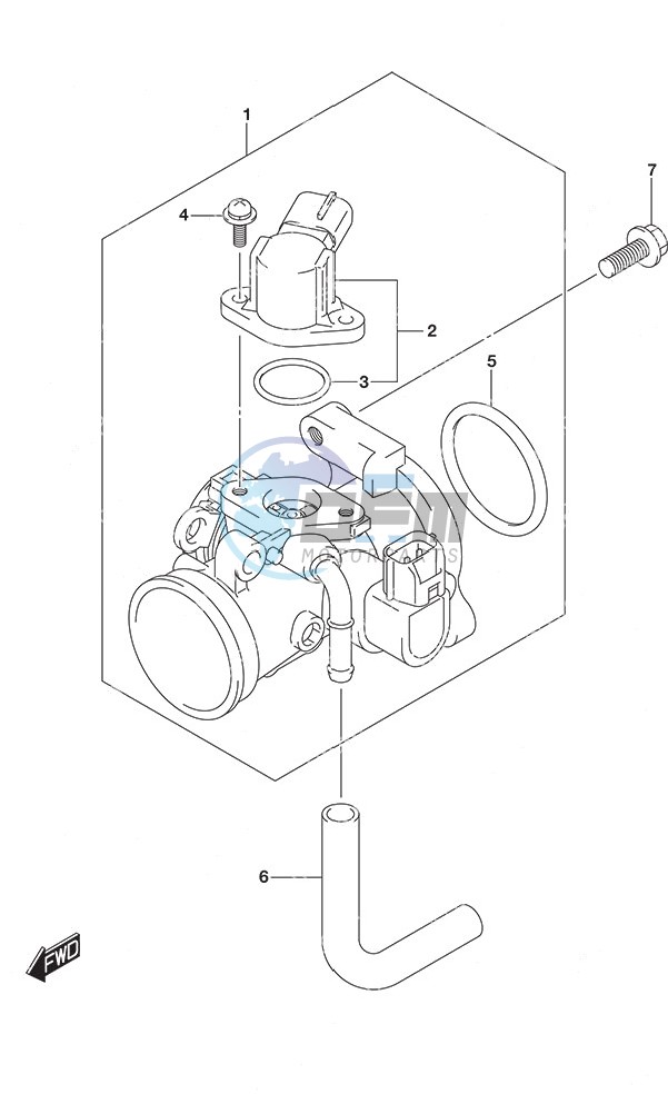 Throttle Body Remote Control